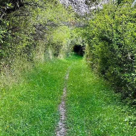 Semesterbostad The Lion House Mouzens (Dordogne)