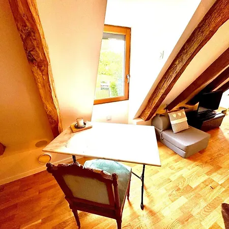 The Lion House Mouzens (Dordogne)