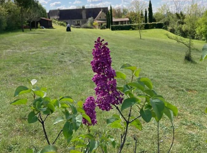 Dom wakacyjny The Lion House