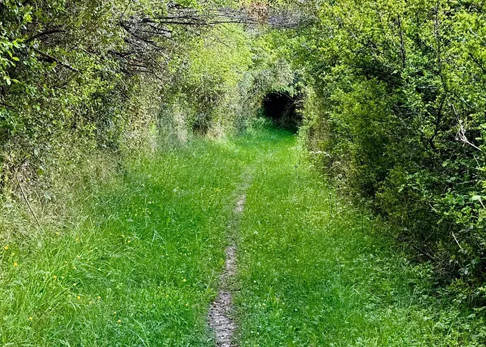 Dom wakacyjny The Lion House Mouzens (Dordogne)